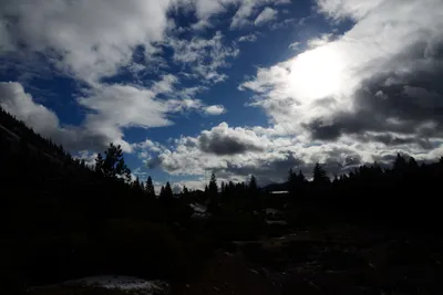 DSC_2912 (Large).JPG